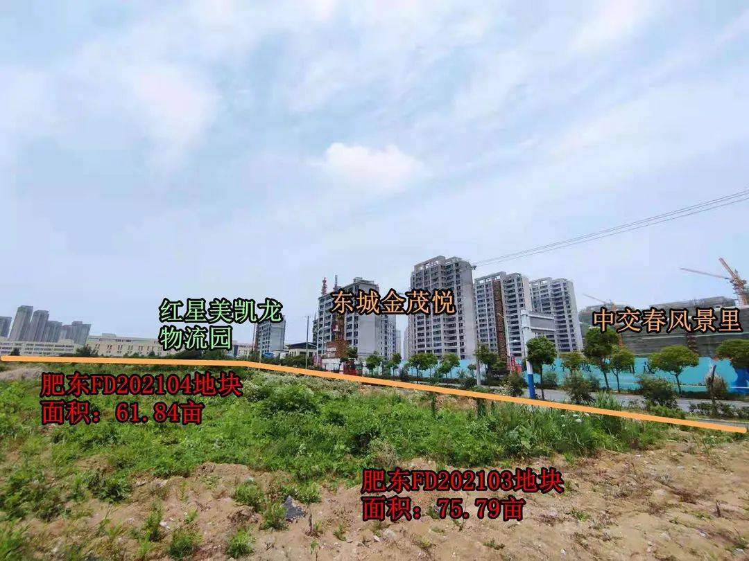 拍照怎么拍出聚焦 bad5efaf507d4a9bbeaa0972aac973e2.jpeg