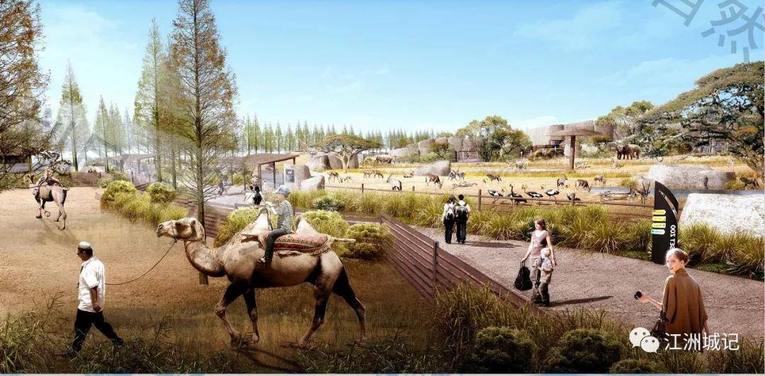 武汉动物园改造一期工程效果图公示,两年后将重新归来!