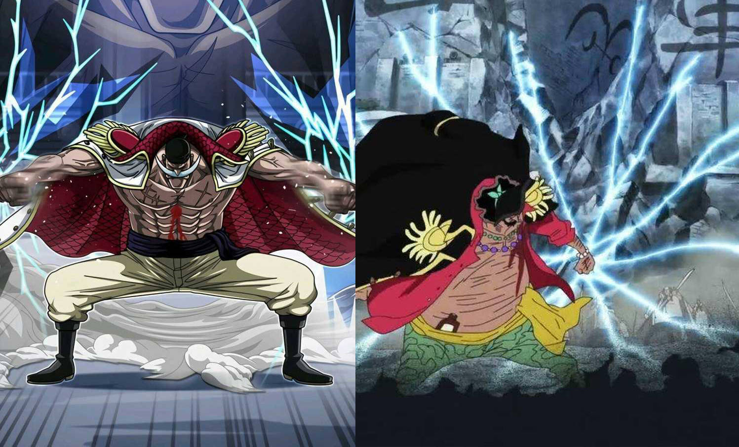 海贼王 已重生的7颗恶魔果实 自然系和动物系各1颗 超人系5颗 的能力