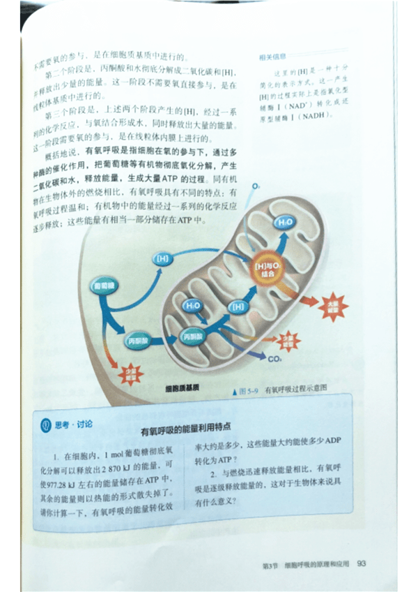 在册的农业人口_人口普查(3)