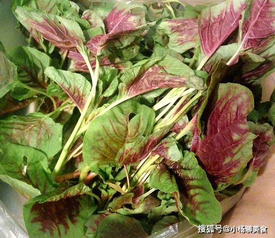 这菜铁含量高,补血减皱纹,去除老雀斑,女人要常吃,痘痘不见了