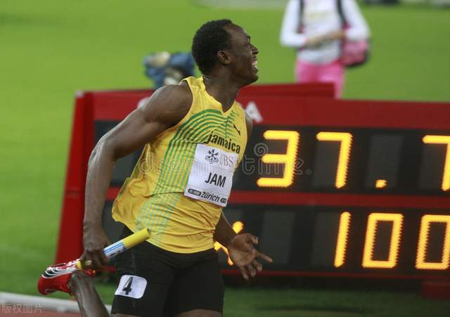 盘点陆地上10大速度最快的动物老虎居然跑不过狮子贼尴尬