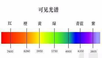 为什么人类看不到可见光之外的电磁波?真相来了_眼睛