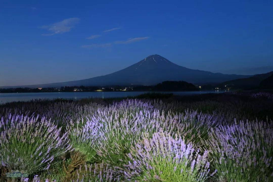 夏天有什么特别的风景 83bcc30edd4a48cbaa9e4a7c65bc9415.jpeg