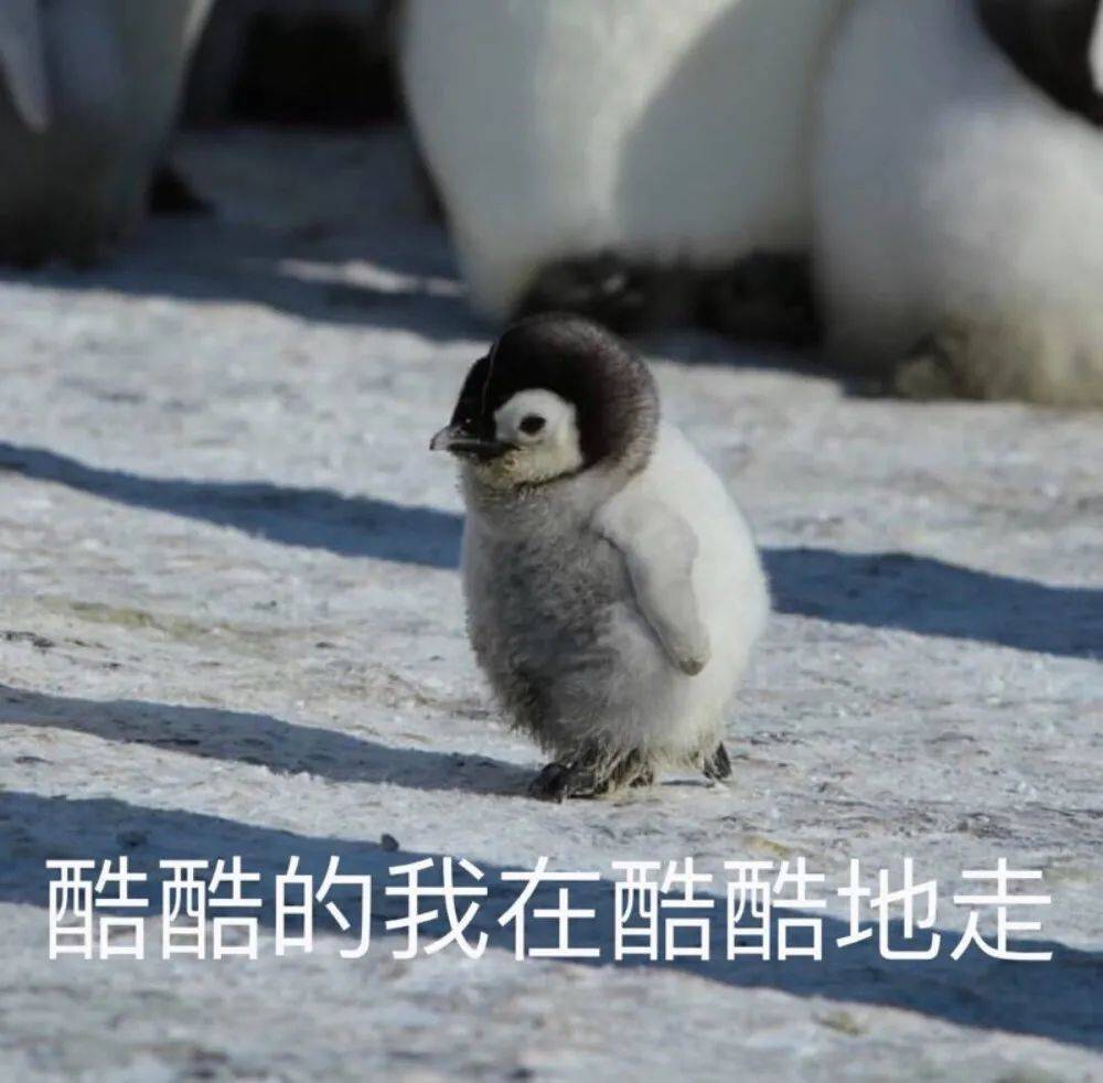 小声bb公司团建去外面吃饭,吃完饭顺口就喊了一声"老板结账"(对店家)