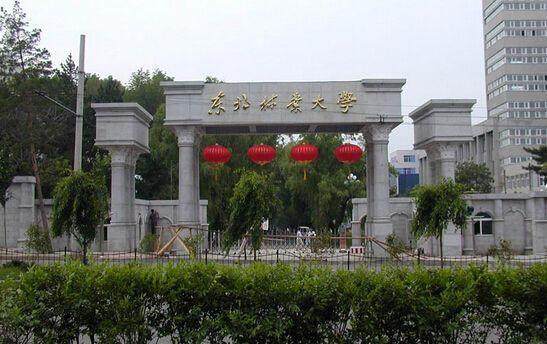 中国大学面积排行_湖南占地面积最大的大学盘点湖南省各高校面积排行榜