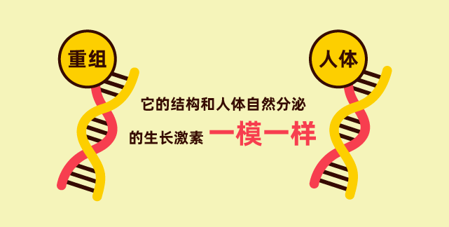 9dfa347808774ba5a4efe9a08d6abfca.png