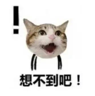 什么是惊讶 eadc2f7b3e9f4231982440c0ad1de0c9.jpeg