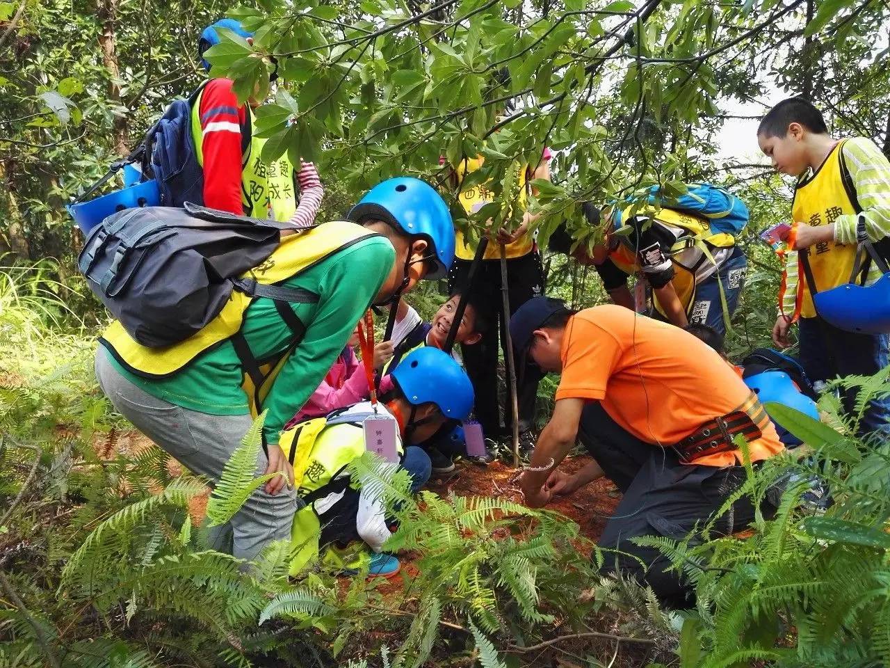 原創穿越原始雨林探秘西雙版納自然科考研學活動