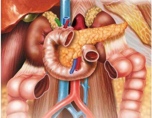 原創醫生勸告患有胰腺炎需留意這4個表現或是癌變的徵兆
