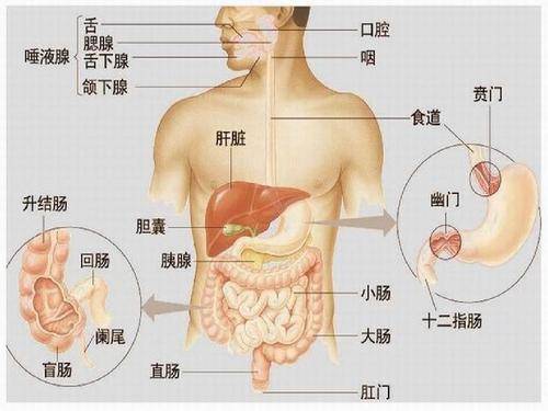 原创心脏部位经常隐隐疼痛,是得了心脏病吗?做什么检查才能确诊?