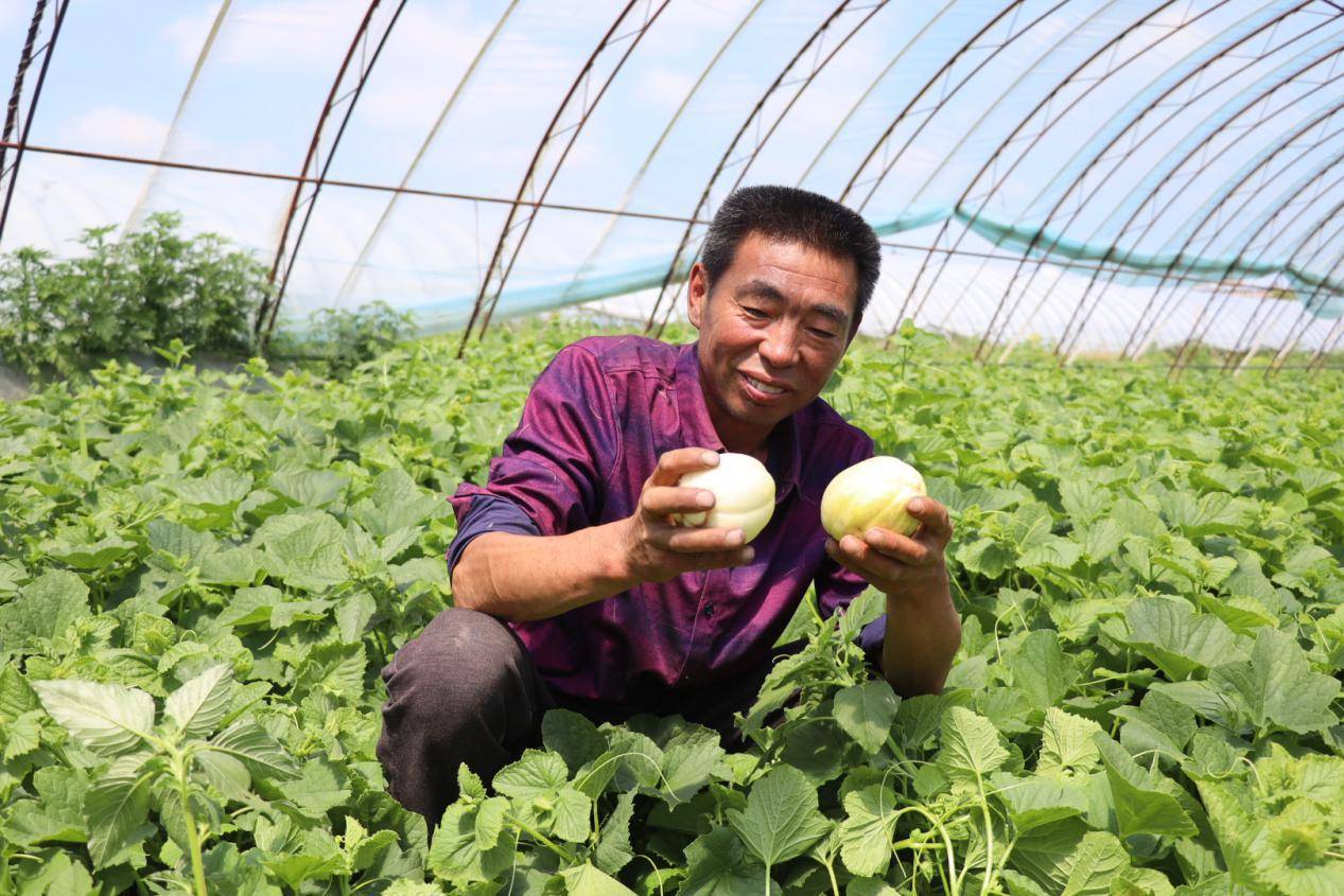 黑龙江明水县乡村振兴路上的幸福笑脸