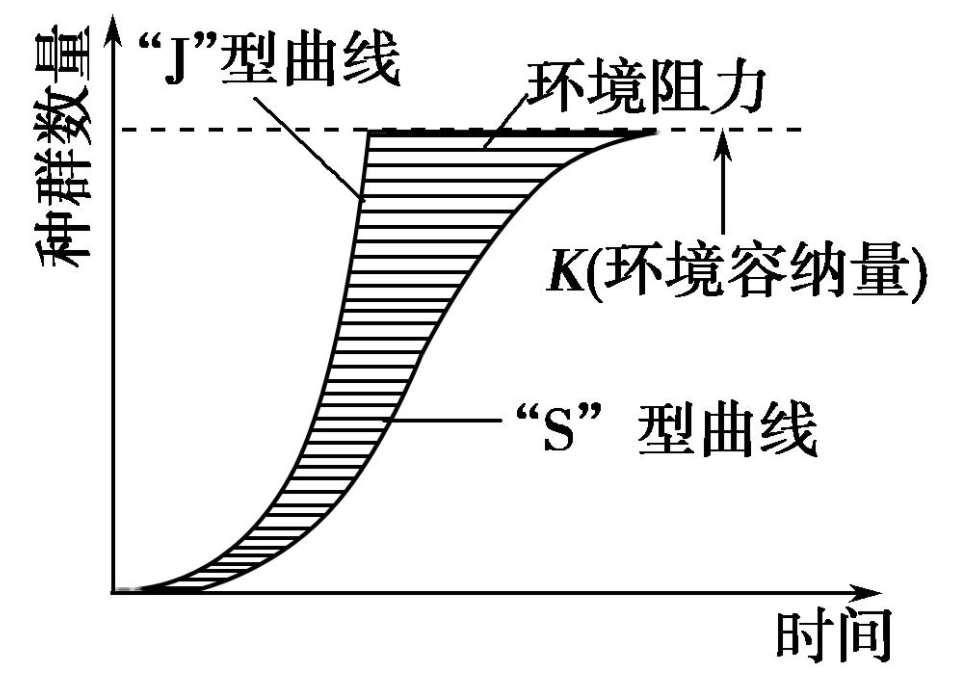 米乐M聚划算618的“造新法则”(图7)