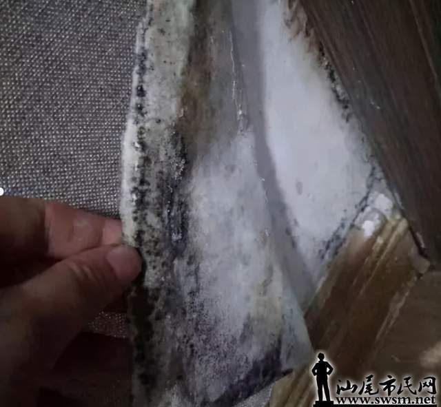 汕尾碧桂园华附凤凰城二期桃源小区被指是豆腐渣工程(图7)