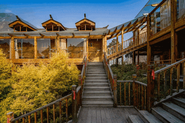 【金色麦穗】当"民宿"遇见"康养",谁才是主体?