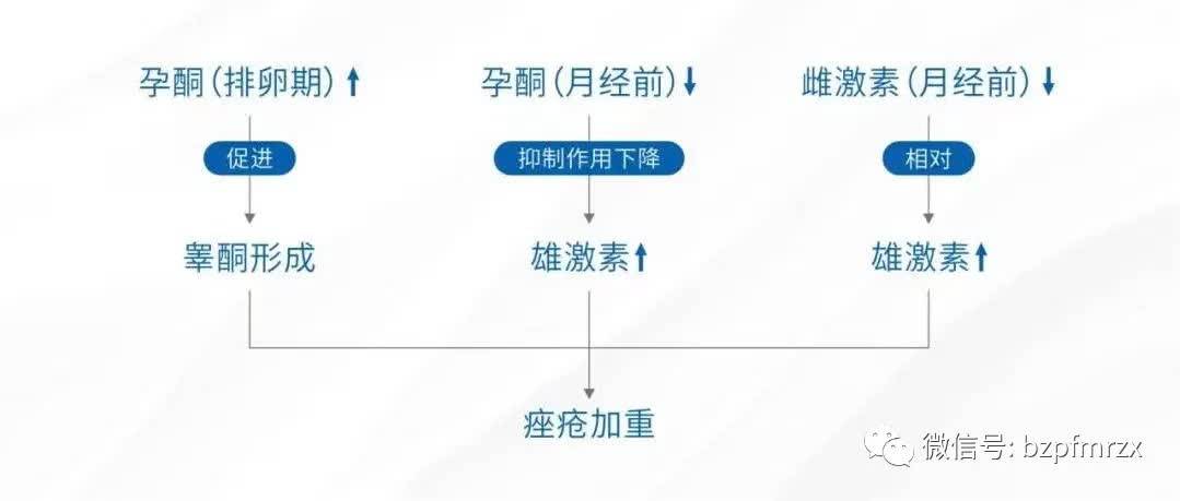 比如精神因素,某些器官病变等,了解了内分泌的原因,就可以采取一些