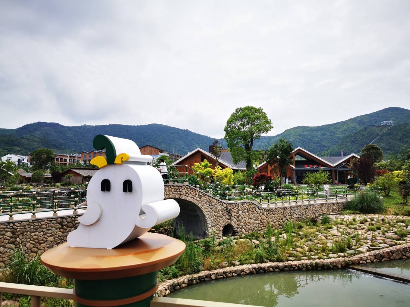 铁定溜溜位于温州市大荆镇,取石斛外形弯溜溜,口感滑溜溜之意而命名.