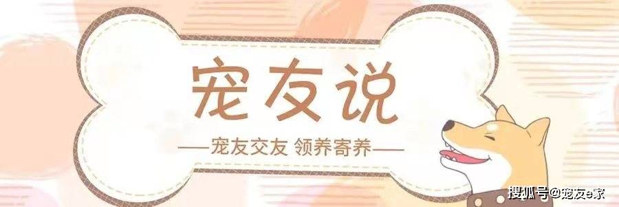 狗狗便秘的三大症状 才带