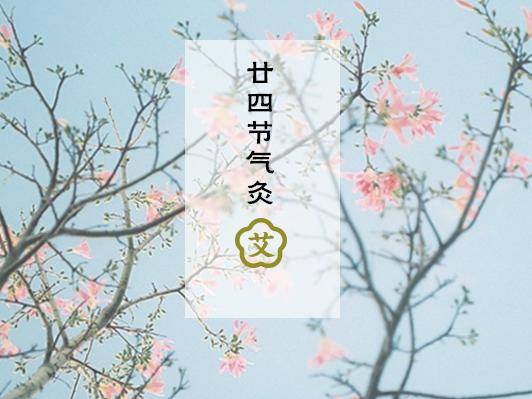 52e27a5879264a5db7848970b9ec8593.jpeg