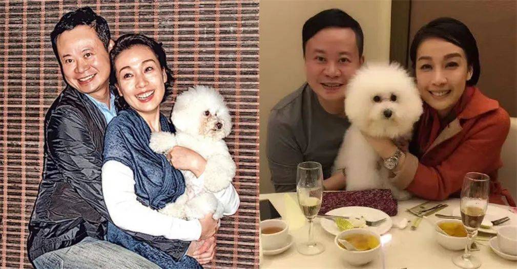 50岁江美仪离婚三年难忘前夫泪洒当场,被骗千万多年心血毁于一旦