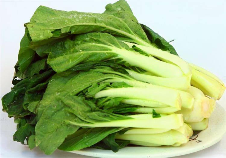 夏天种什么青菜不生虫 935829412fb8489aa68b64a9706a396b.jpeg