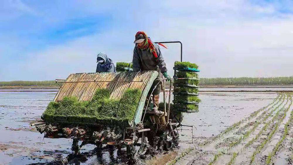 新中国第一代女拖拉机手在北大荒耕起了草原万里