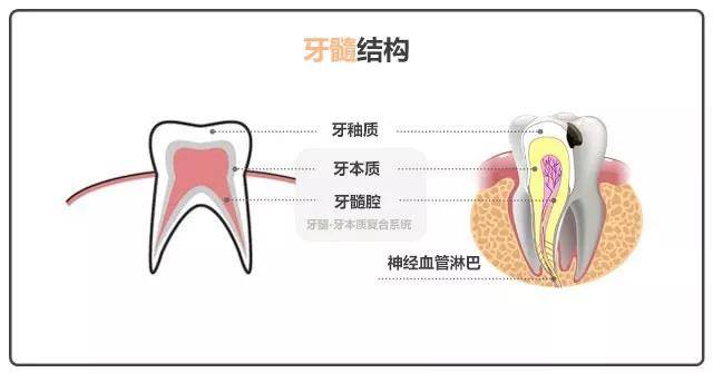 牙龈长脓包?请做到“二不一要”!