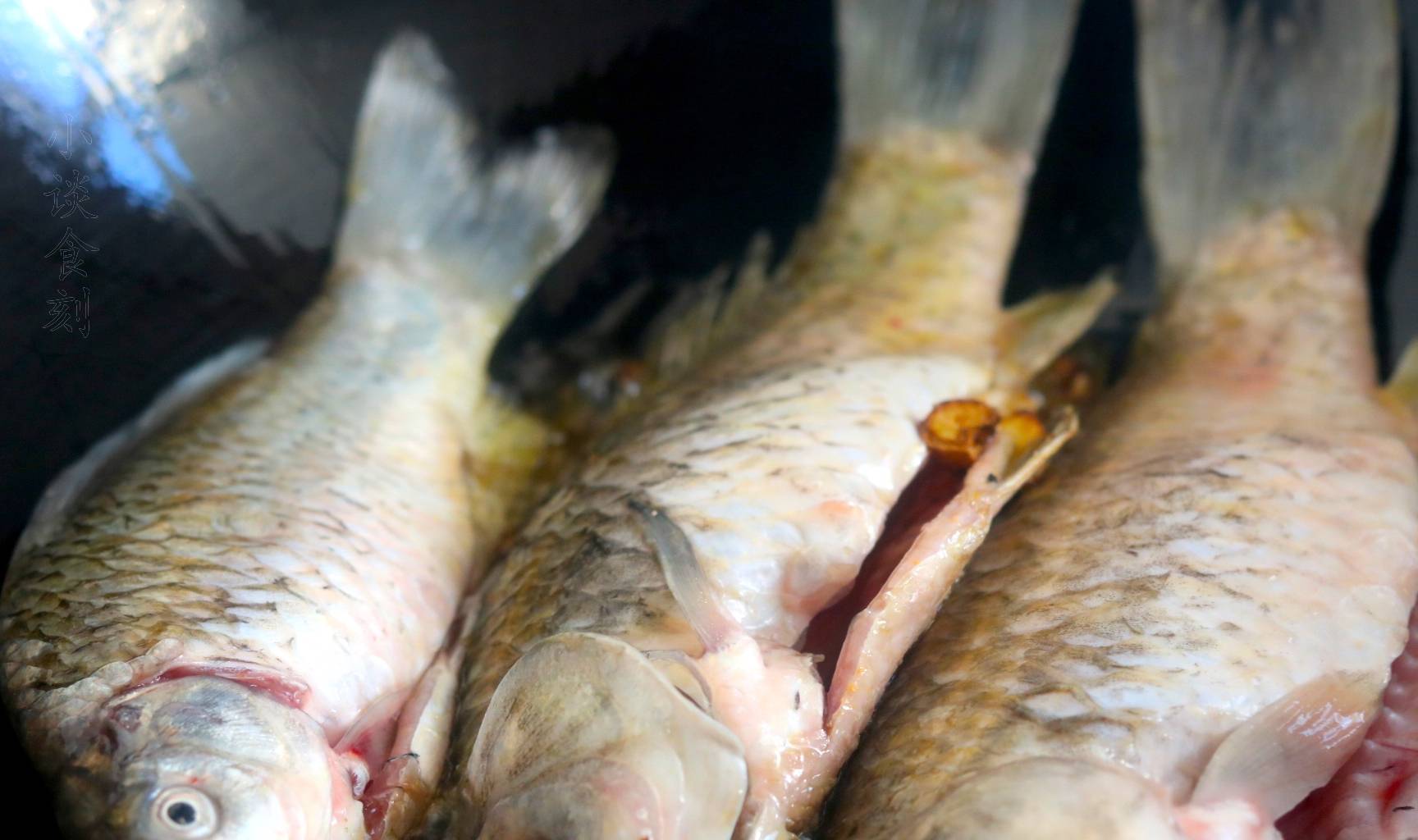 鱼多久吃一次 eaf30eccf7fc428f9e0d8346833fc1d8.jpeg