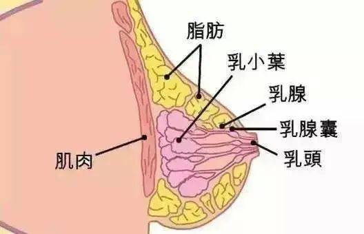 c6929e7f3c404678ab855cd9afda6e7a.jpeg