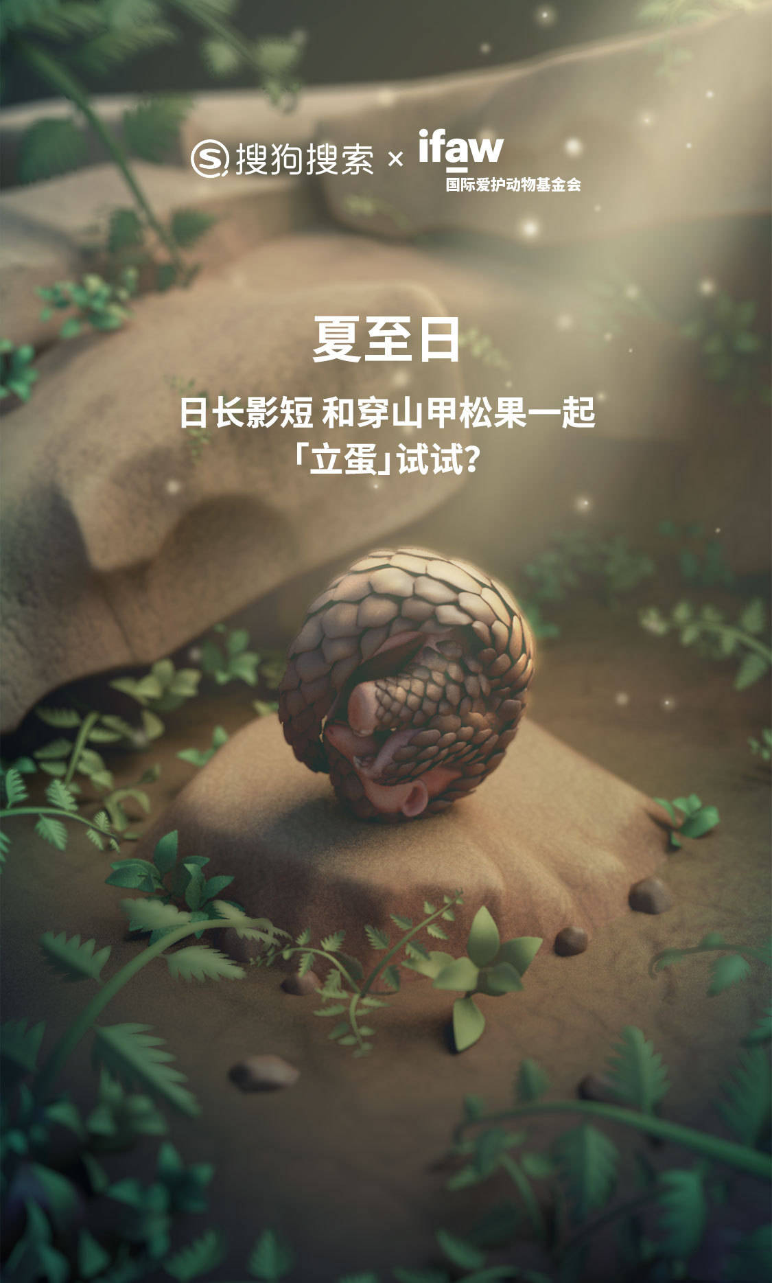 奇兵|25周新闻丨搜狗联合国际爱护动物基金会，发起夏至“立蛋”挑战
