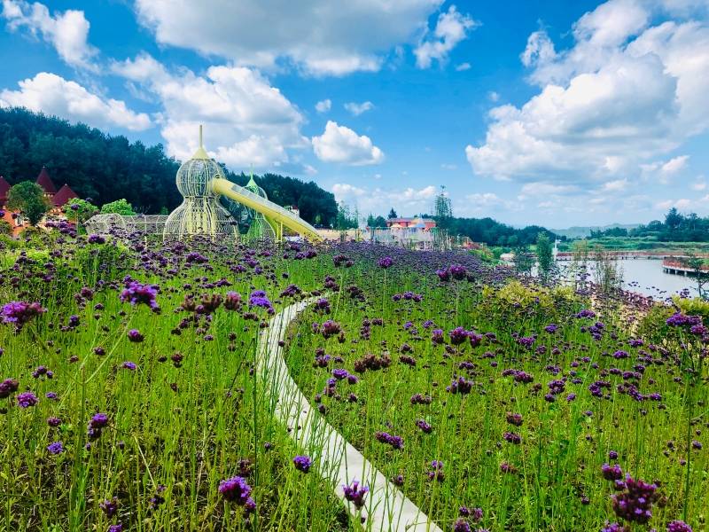 四川新晋4a级景区盘点—巴中市平昌县大石童话小镇旅游景区