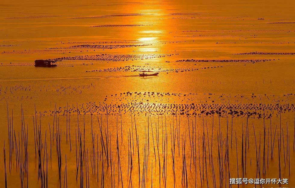 中国最美的滩涂图片