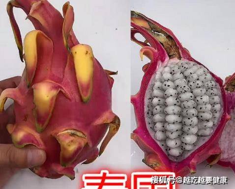 火龙果怎么切比较漂亮 ef51c368eafd4962bd2f3df178dc6981.jpeg