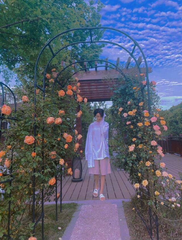 原创张馨予发文与粉丝互动，不再沉迷种花种菜，要努力奋斗事业。