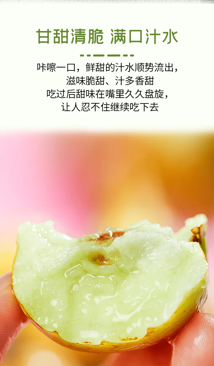 51c95da75da44657a7eeaf9d45ea22ff.png