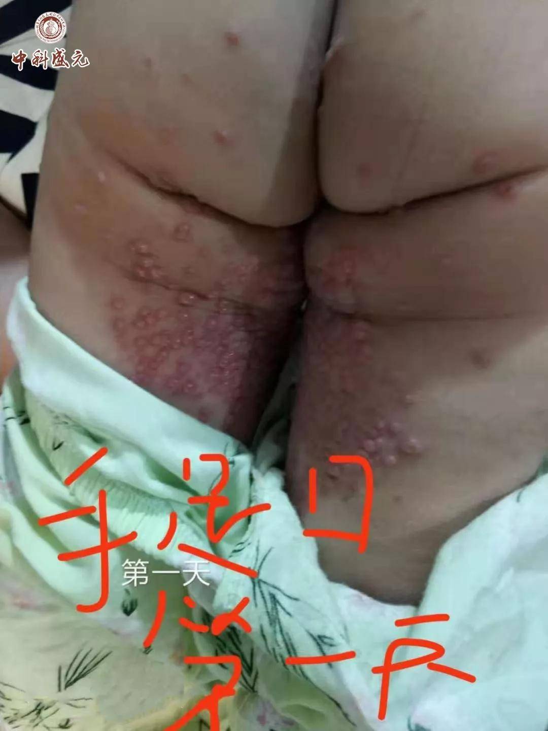 e8db2d5be8ea47e9a6c481c986bdb967.jpeg