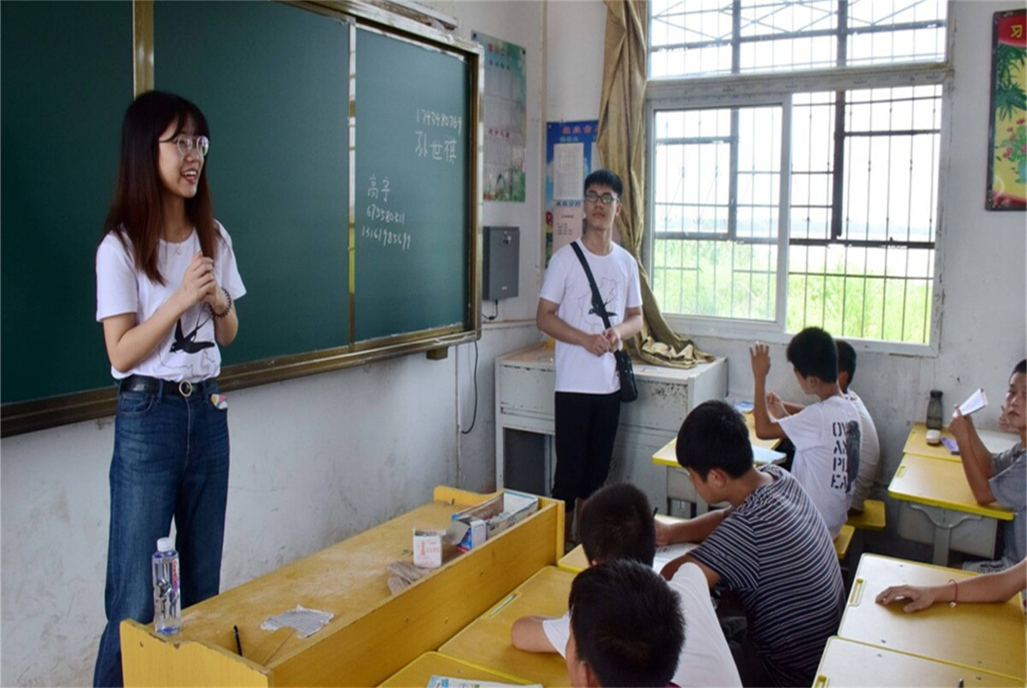七台河教育局投诉电话 七台河教育局电话号码