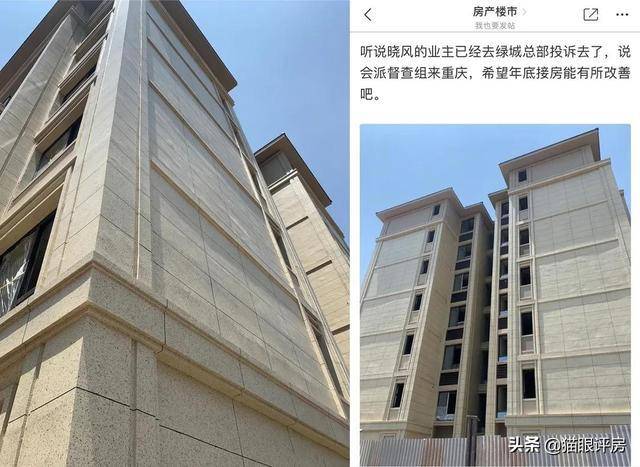 减配严重遭业主投诉 重庆绿城礼嘉项目深陷维权事件(图12)