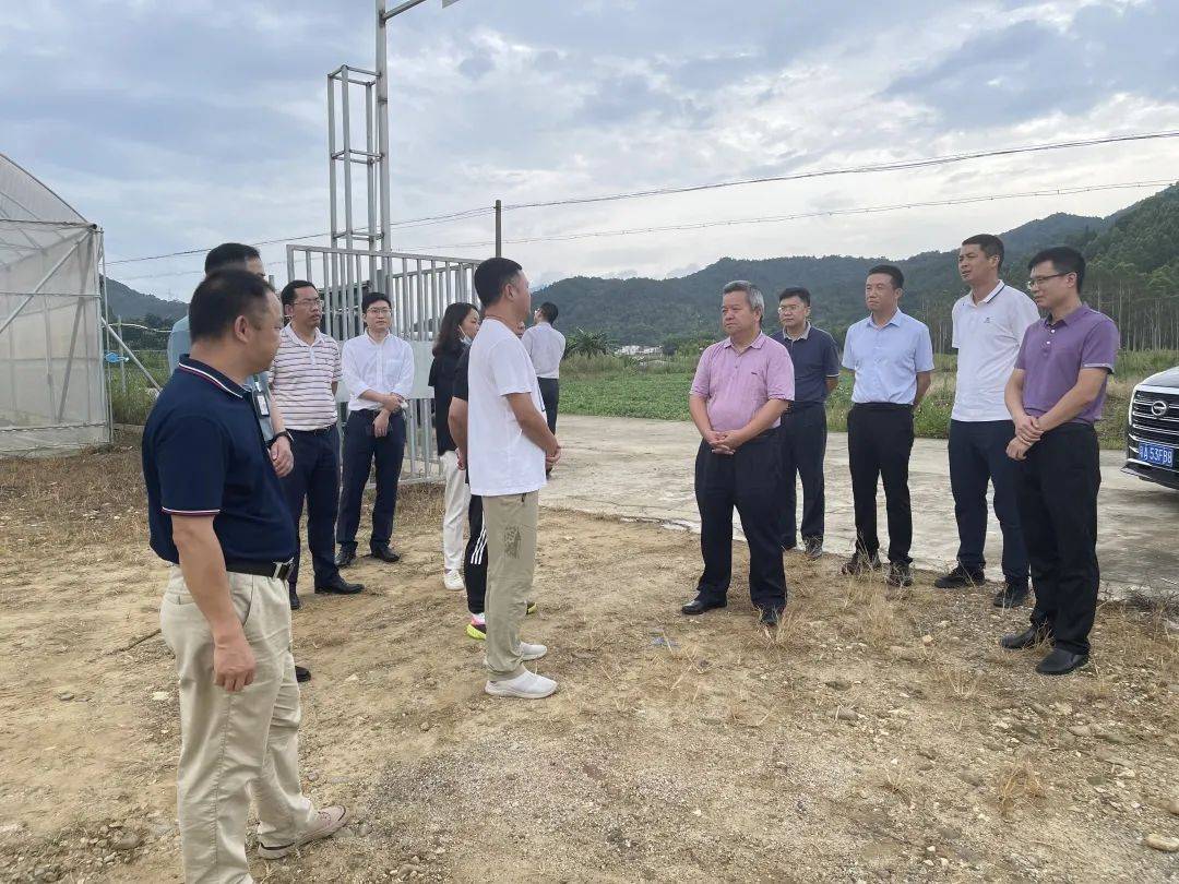 推动乡村振兴严志明到清新调研乡村振兴驻镇帮镇扶村工作