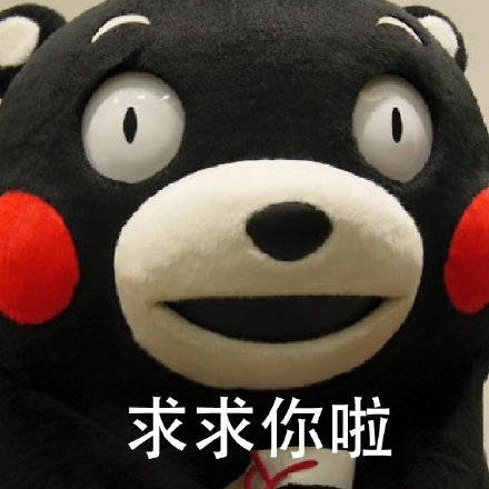 熊本熊撒娇六连【表情包】