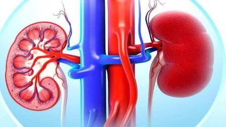 肾脏|54岁男子痛风入院，肾脏“报废”，2种食物是“加速器”，要警惕