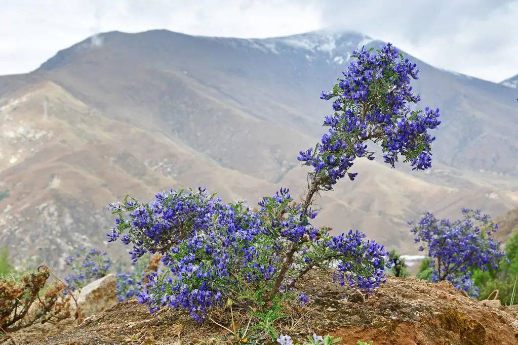 知识科普|为什么会得湿疹，治疗湿疹怎样去根？