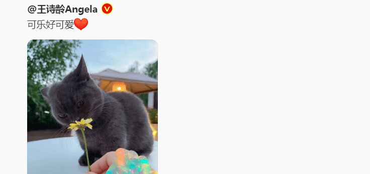 美人|11岁王诗龄身高直逼爸爸，大眼高鼻梁神似李湘，初见美人潜质