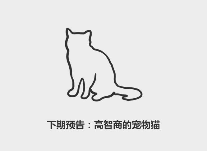 眼睛|59秒冷盘点:柯基有尾巴不正宗?挑选健康的狗狗有9个技巧