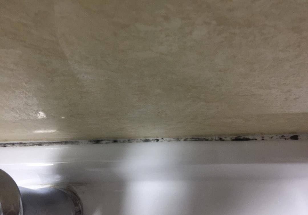 密封条有霉斑怎么处理 284baf0918864f35bc77424bb00663b6.jpeg