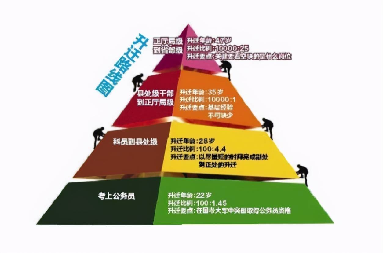 公务员职业发展路径图片