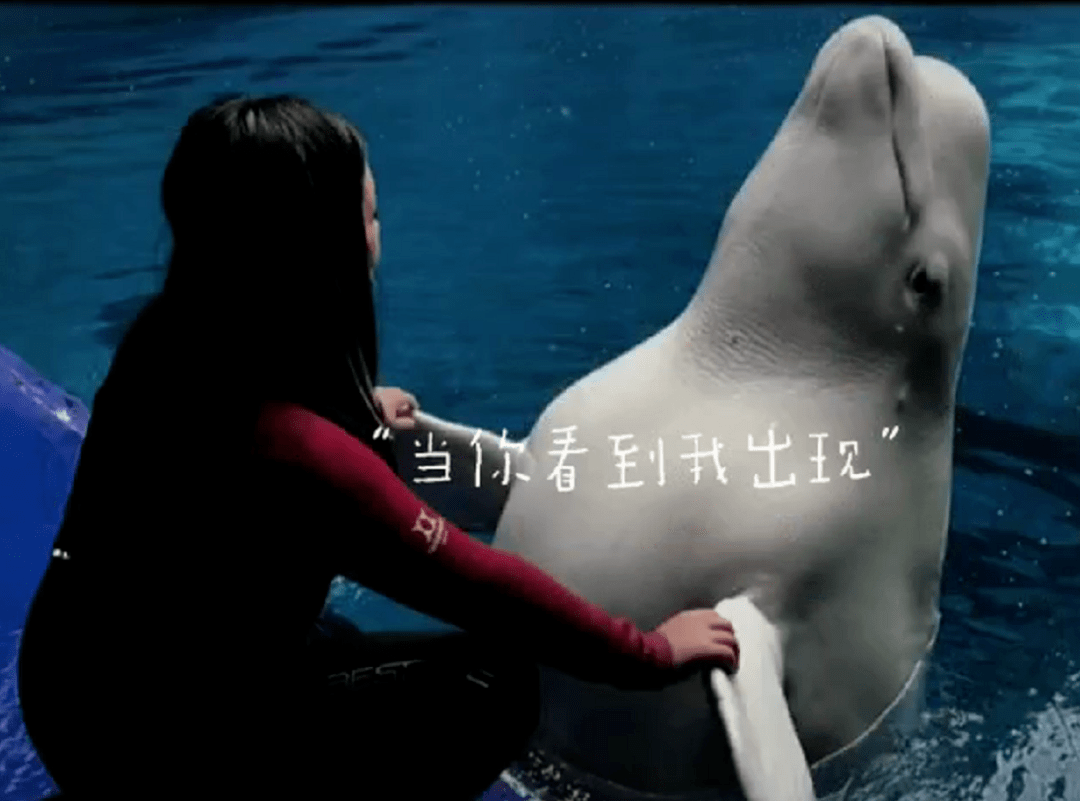 美人|11岁王诗龄身高直逼爸爸，大眼高鼻梁神似李湘，初见美人潜质