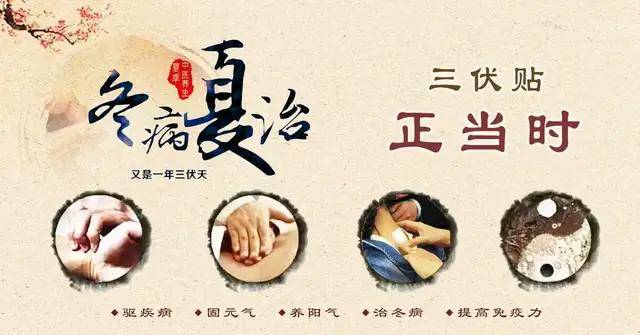 啥是三伏贴 5574d0b6db8b4a10b0f16c0cb4107cfe.jpeg