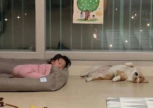 观点评论|吩咐柯基照顾好小主人,结果回家一看哭笑不得,汪:我的心好累!