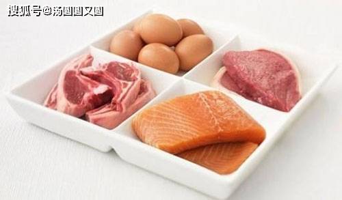 补充|【养宠小知识】加菲猫发腮吃什么猫粮